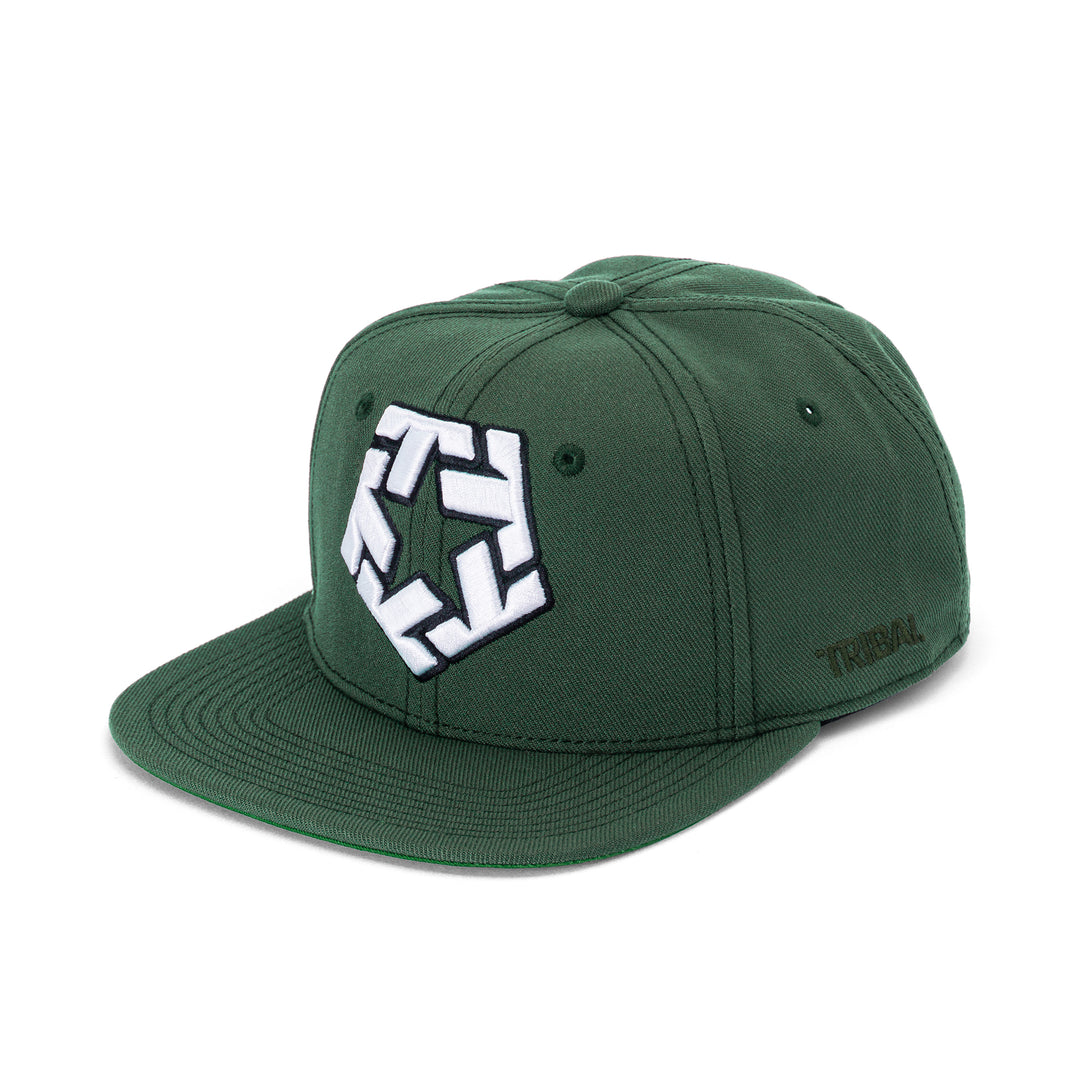 3D T-Star Snapback Cap pine