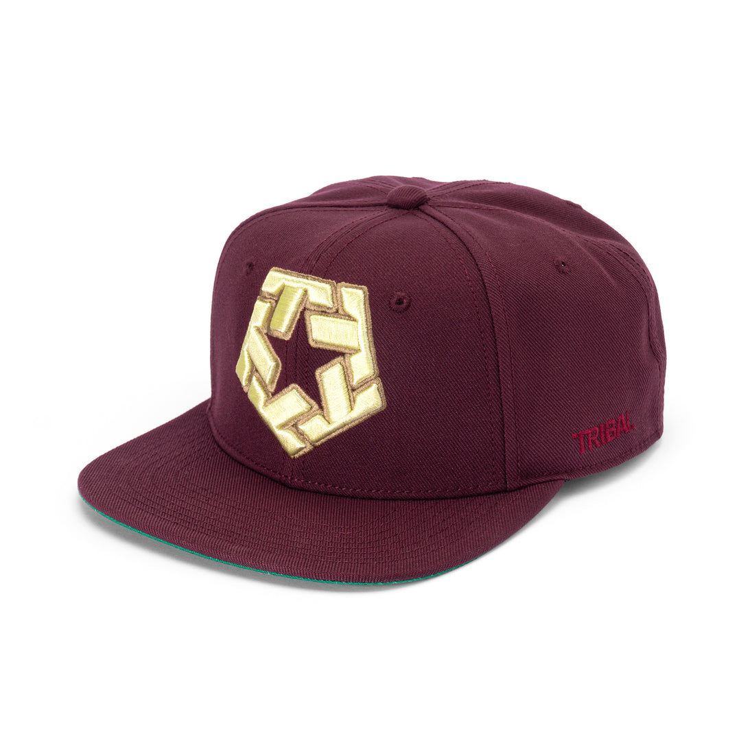 3D T-Star Snapback Cap morroko maroon